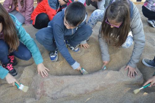 scavo paleontologico